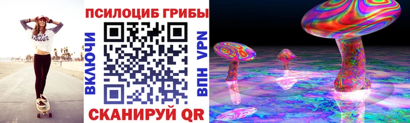 Купить где  Когалым  Псилоцибиновые грибы Psilocybe 